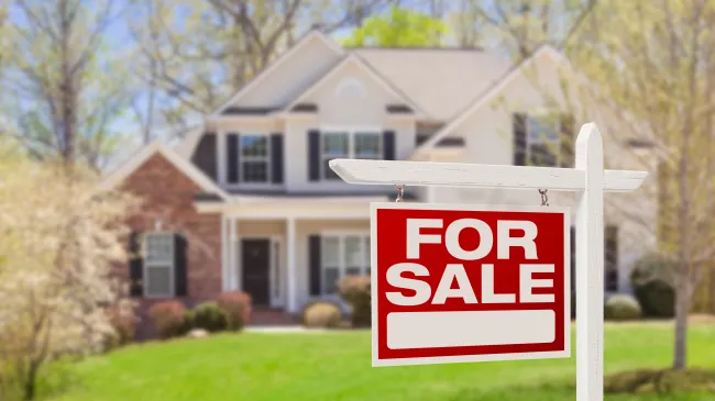 homeowner
